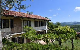 Cascina Flino - Tra Le Vigne - Appartamento 2